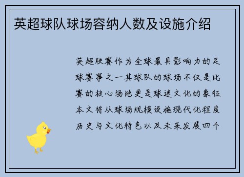 英超球队球场容纳人数及设施介绍